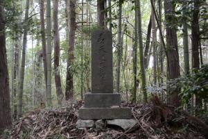 天道大日如来 『天道大日如来』の画像