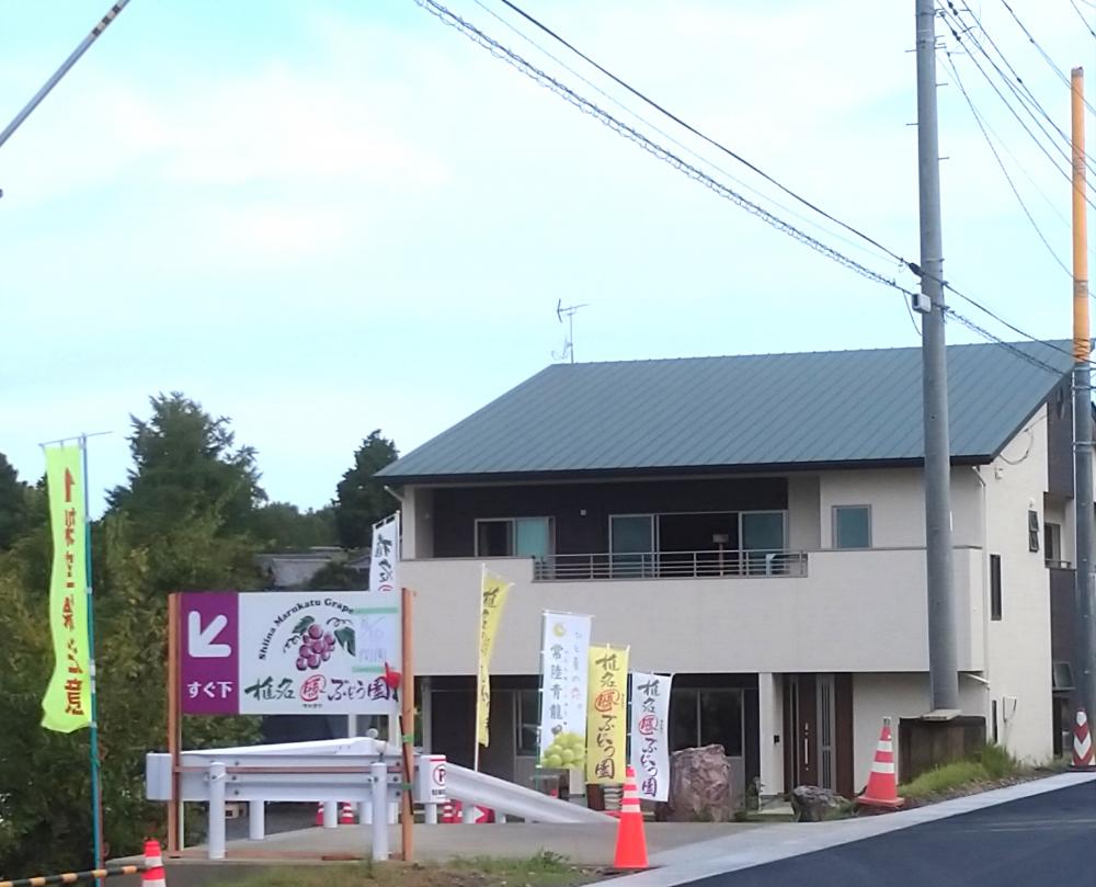 椎名マルカツぶどう園の紹介写真1