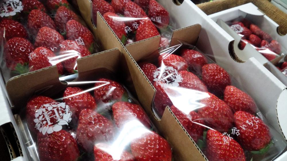 萩谷いちご園の紹介写真2