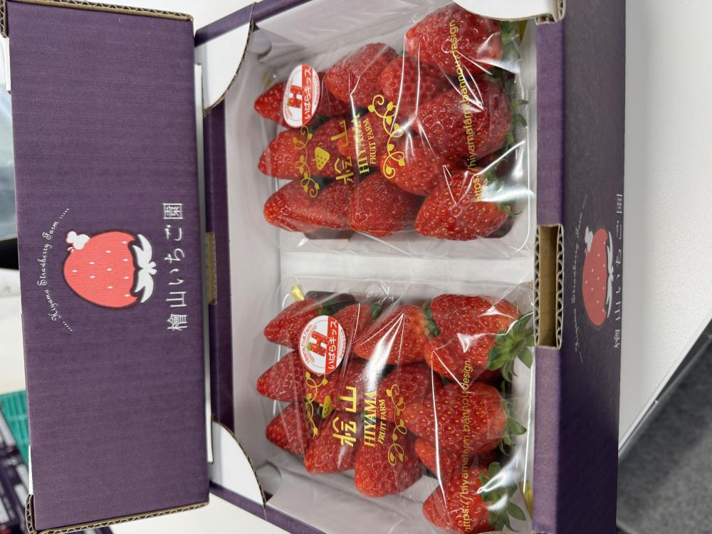 檜山いちご園の紹介写真2