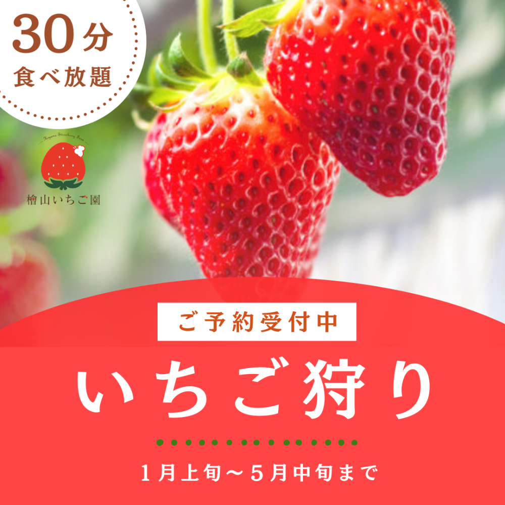 道の駅ひたちおおた（檜山いちご園）の紹介写真1