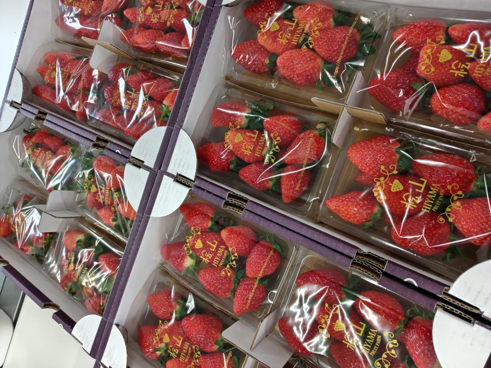 果樹園 | 常陸太田市公式ホームページ