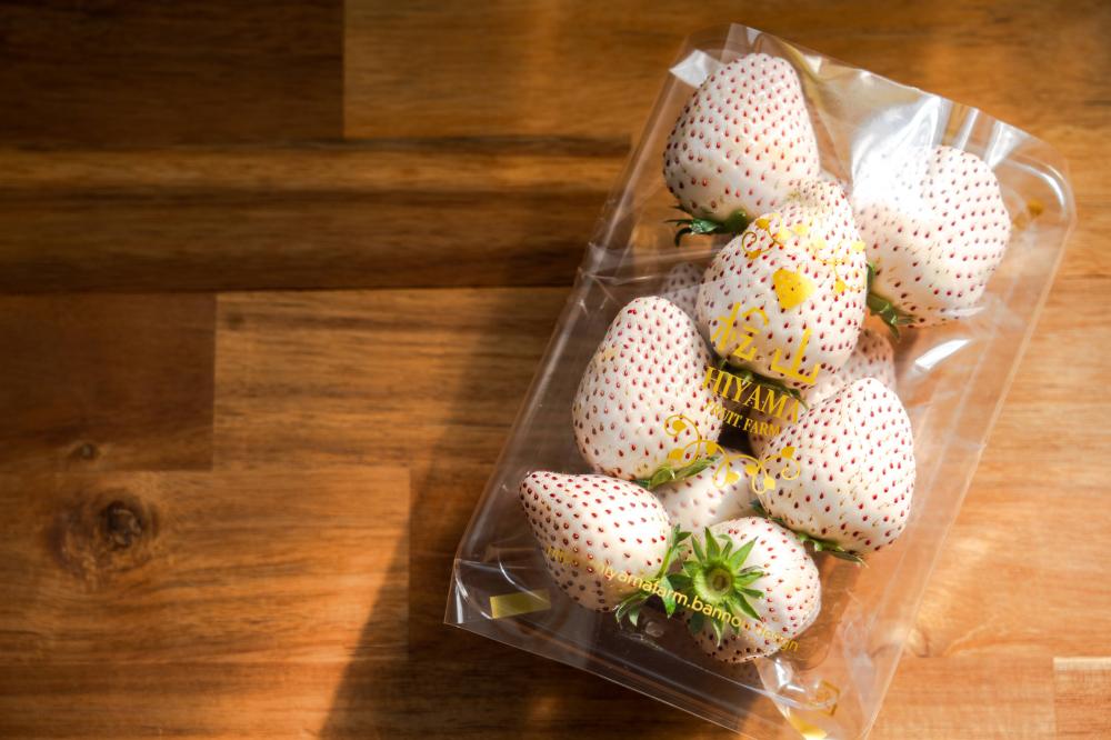 檜山いちご園の紹介写真3