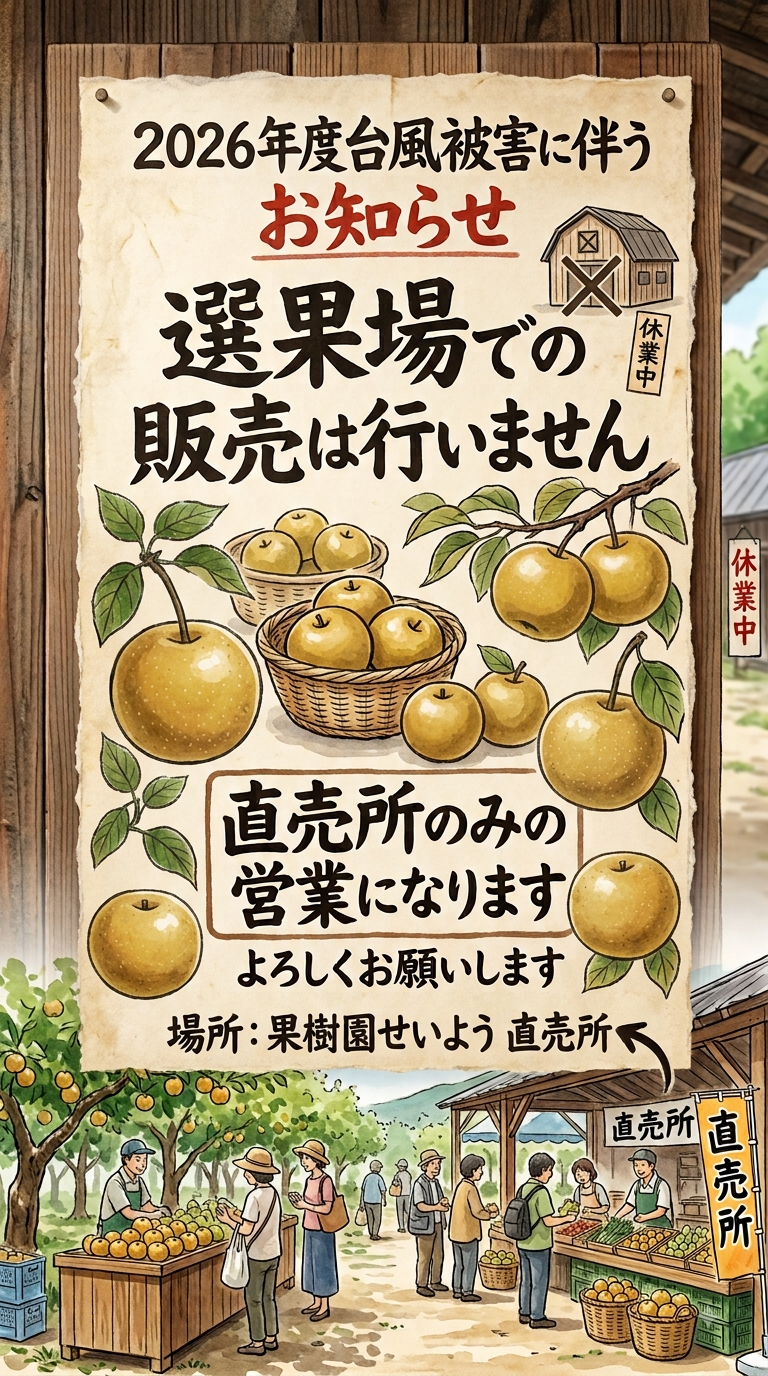 果樹園せいよう (選果場）の紹介写真1