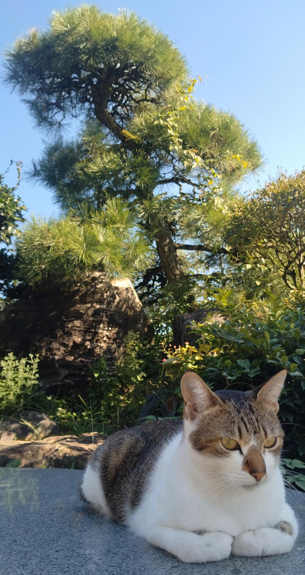 庄司観光梨園の紹介写真1