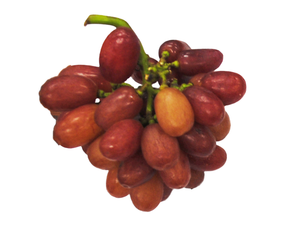 クイーンセブン