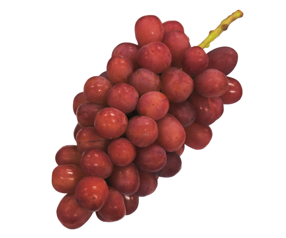 我が道（わがみち）