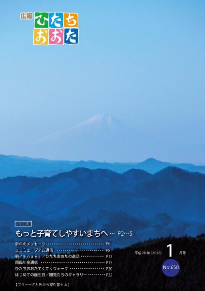 プラトーさとみから望む富士山