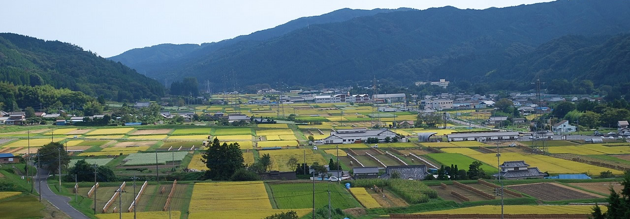 のんびり田舎暮らし