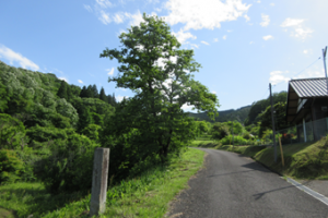 近隣の風景【お試し居住】