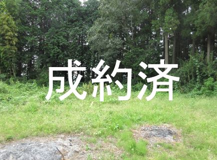 14成約