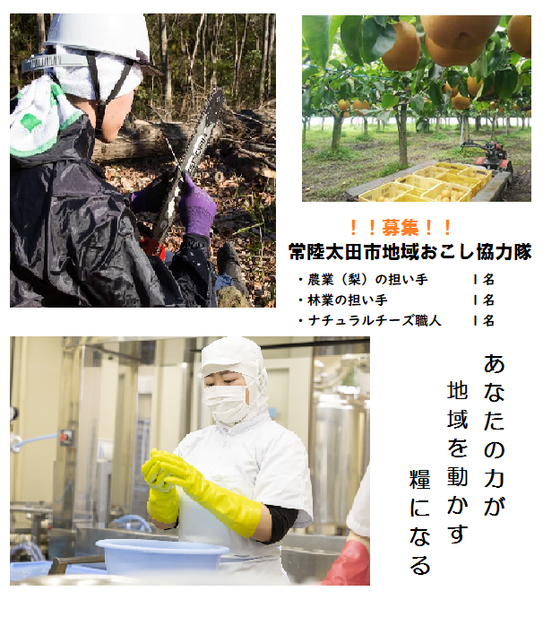 r5協力隊募集画像