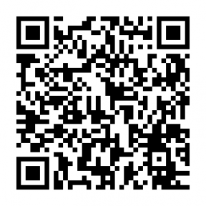 Android QR