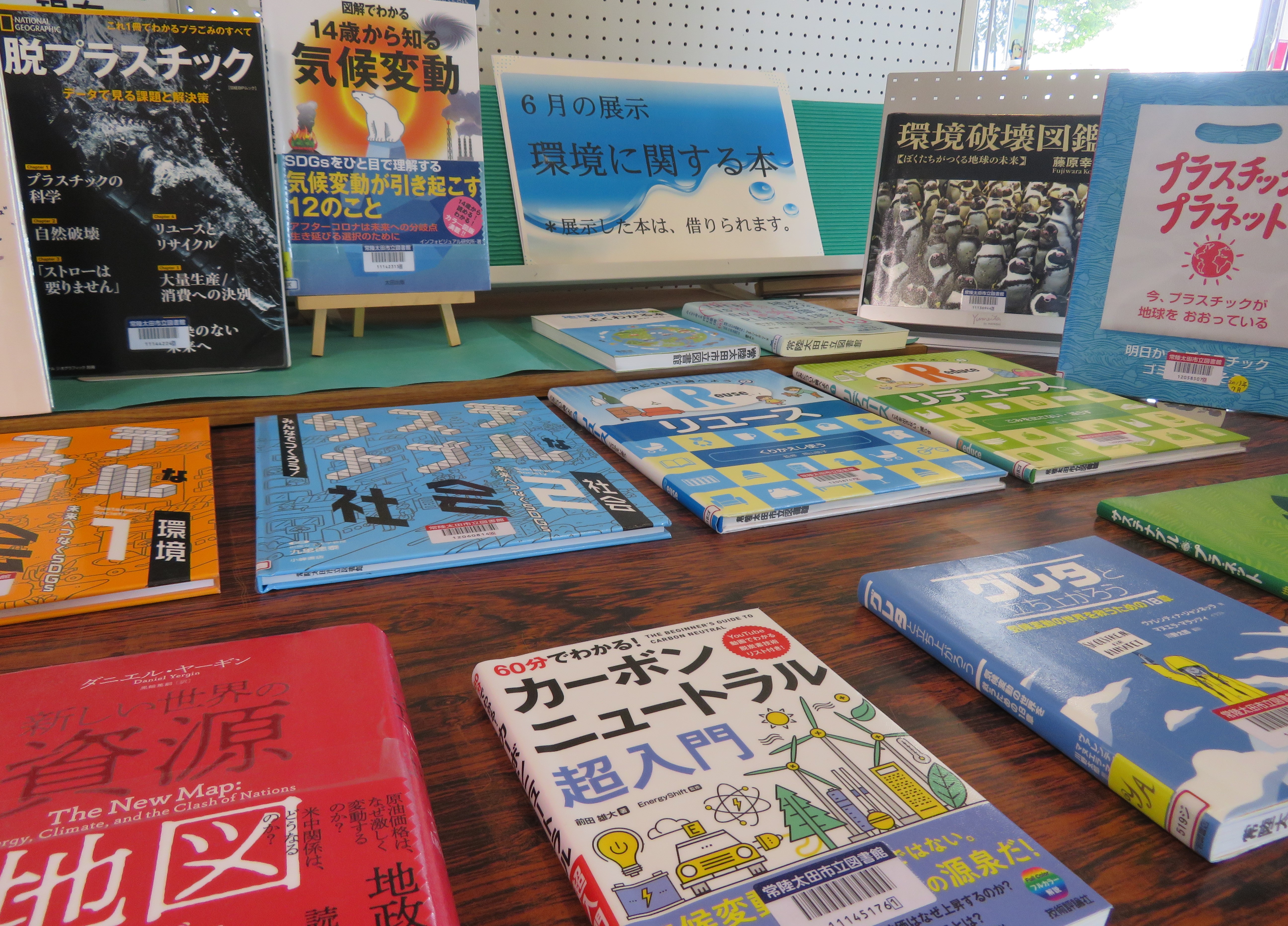 6月の展示