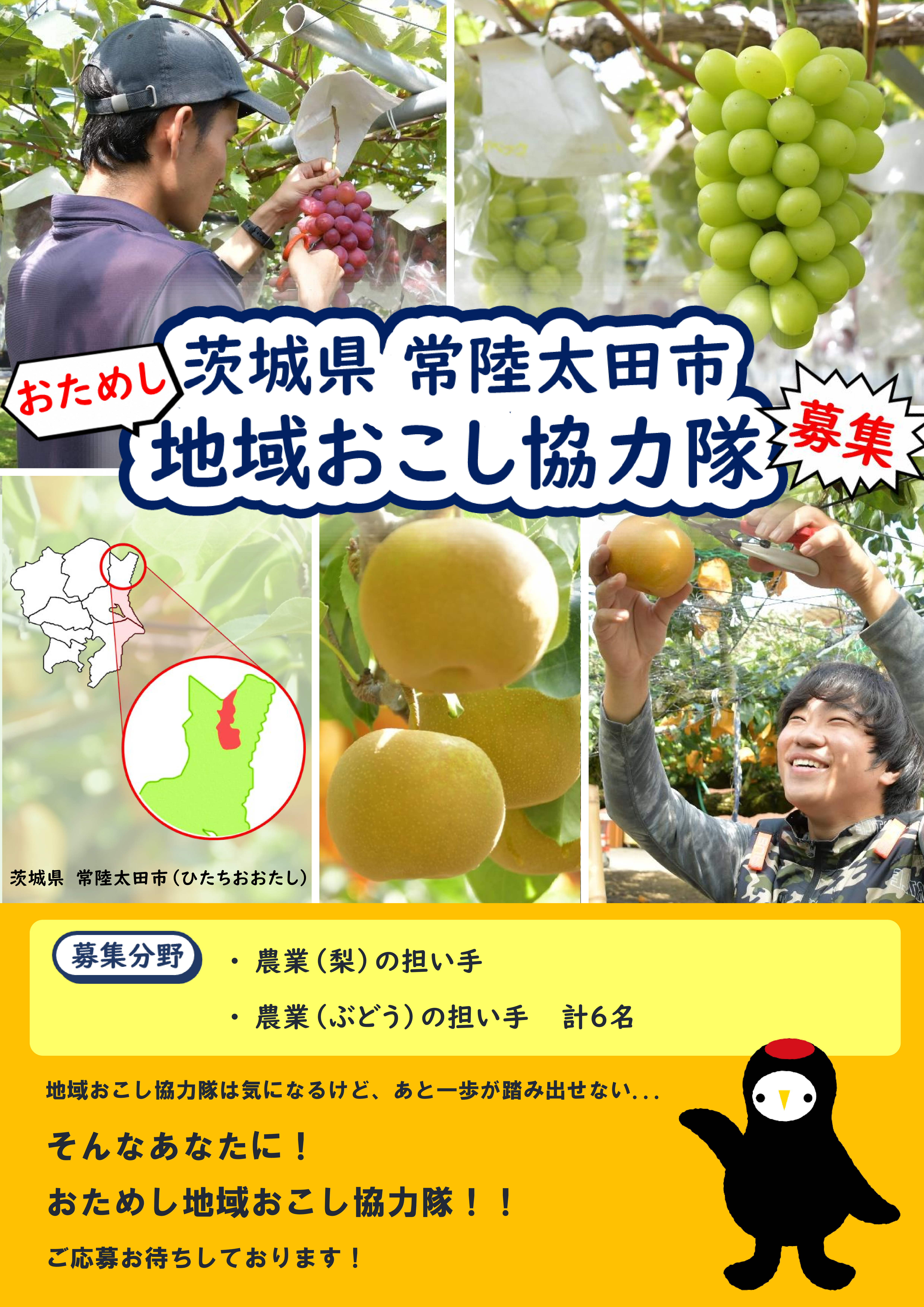 おためし