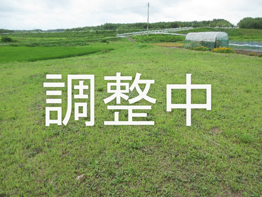 46調整中