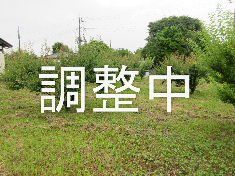 47調整中