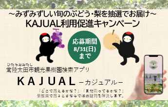 KAJUALキャンペーン画像大