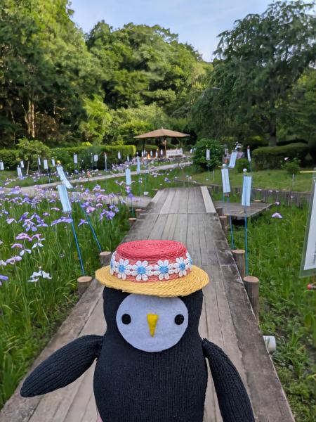 サンプル画像