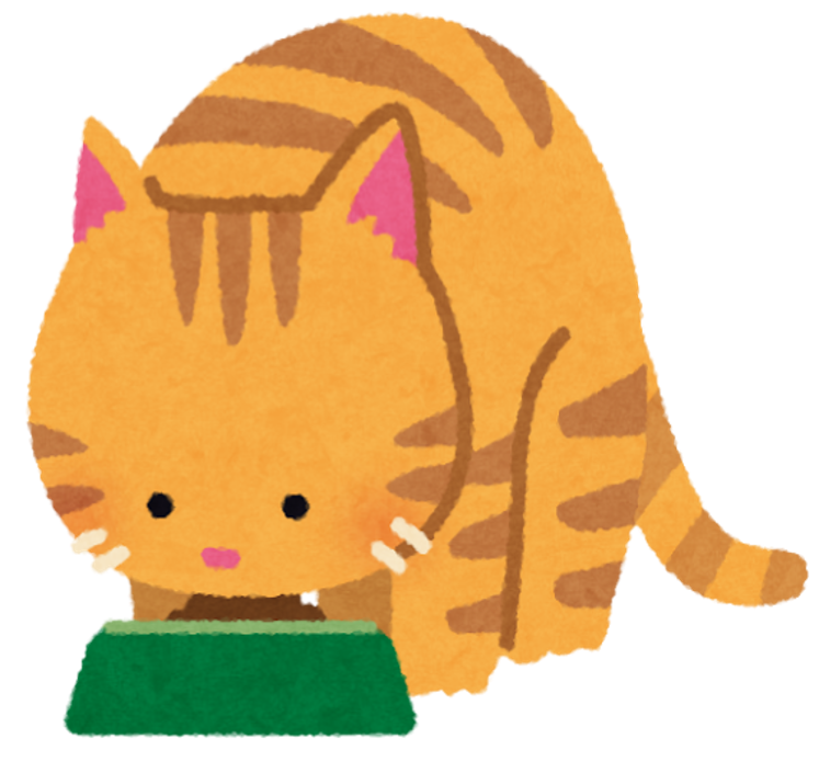 エサを食べる猫