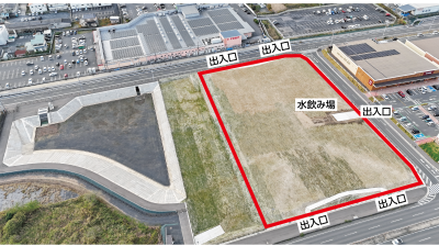 金井近隣公園（写真）400