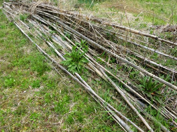 チッパー実績イメージ(1)