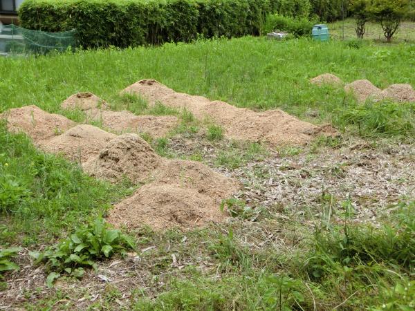 チッパー実績イメージ(2)