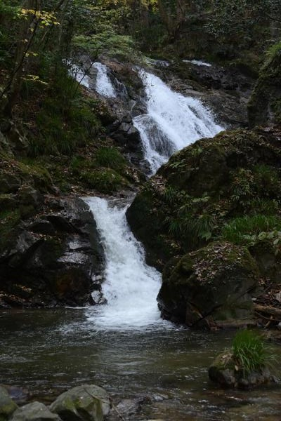推し活ひたちおおたR7.12掲載(13)
