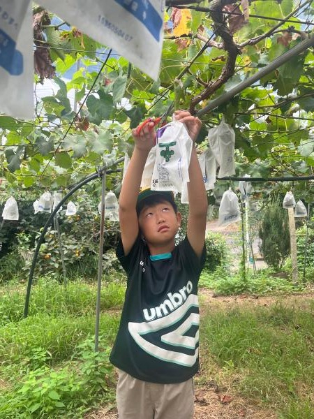 推し活ひたちおおたR7.12掲載(14)