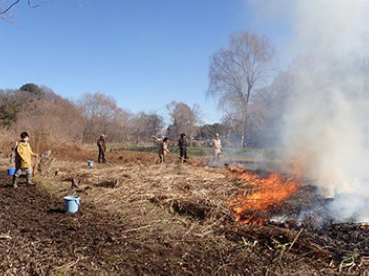 田畑の野焼き