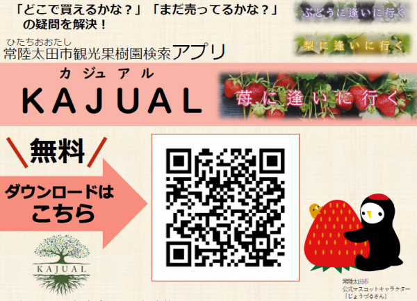 KAJUALいちご追加QR