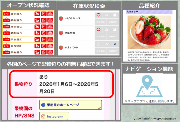 KAJUALいちご追加機能説明