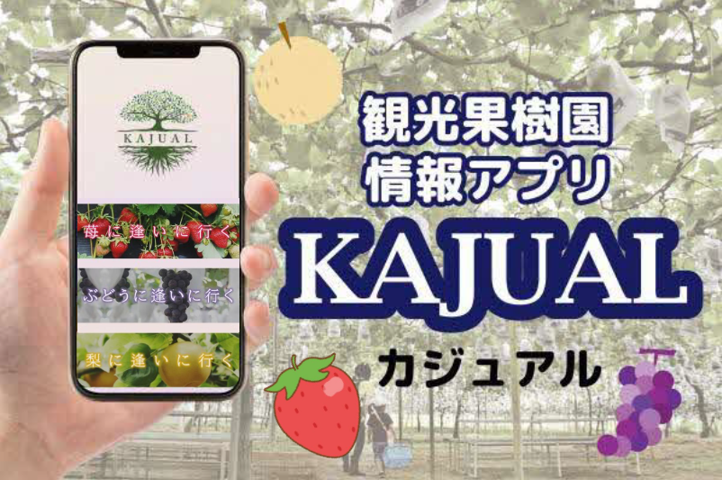 KAJUAL概要ページ画像