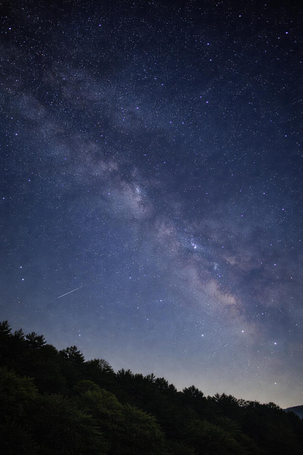 推し活ひたちおおたR8.2掲載(2)