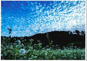 フォトコンテスト（最優秀賞）会沢勝男