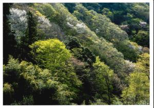 フォトコンテスト（優秀賞）飯田正弘