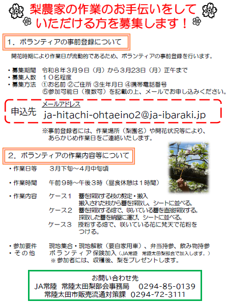 R8梨ボランティア募集要綱