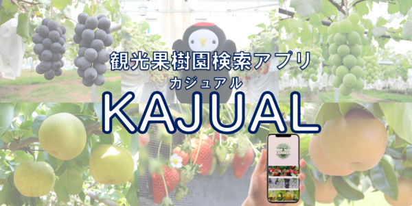 KAJUAL概要ページ画像1