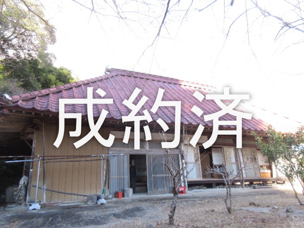 286成約済