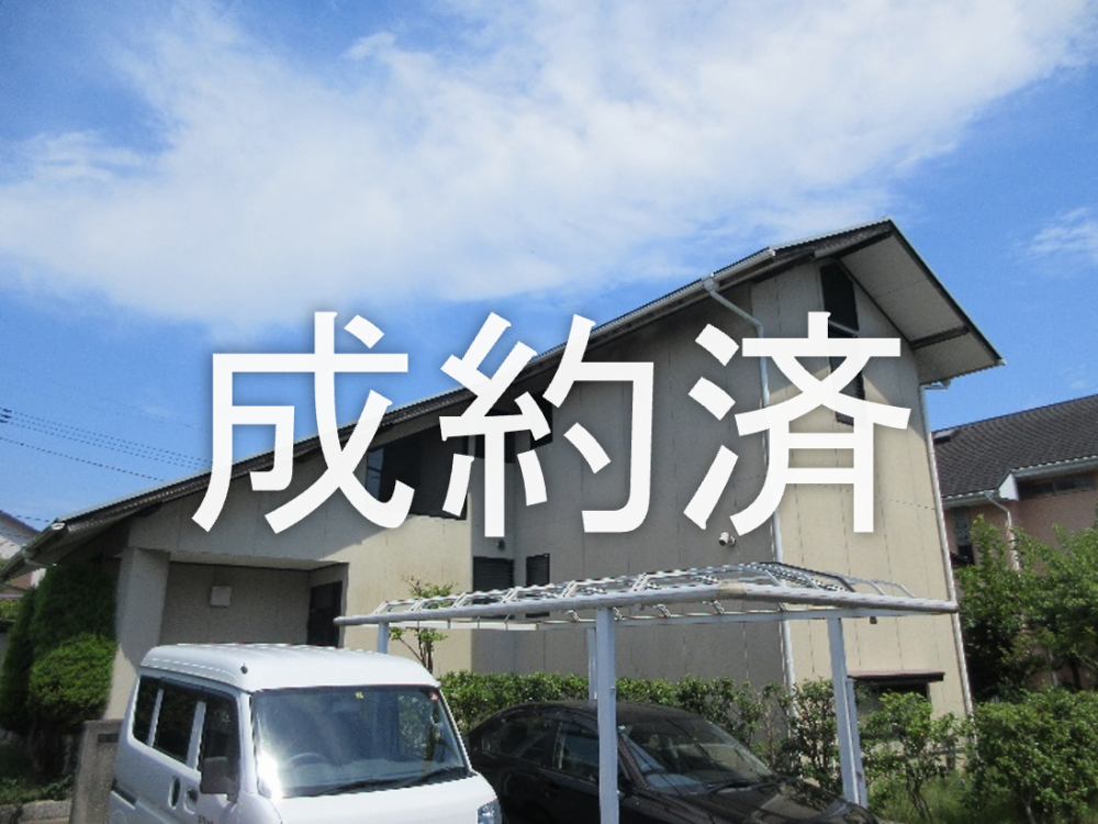 262成約済