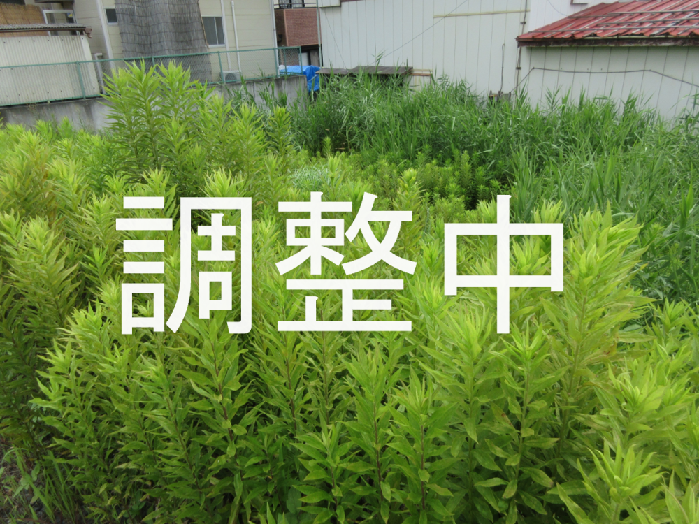 53調整中