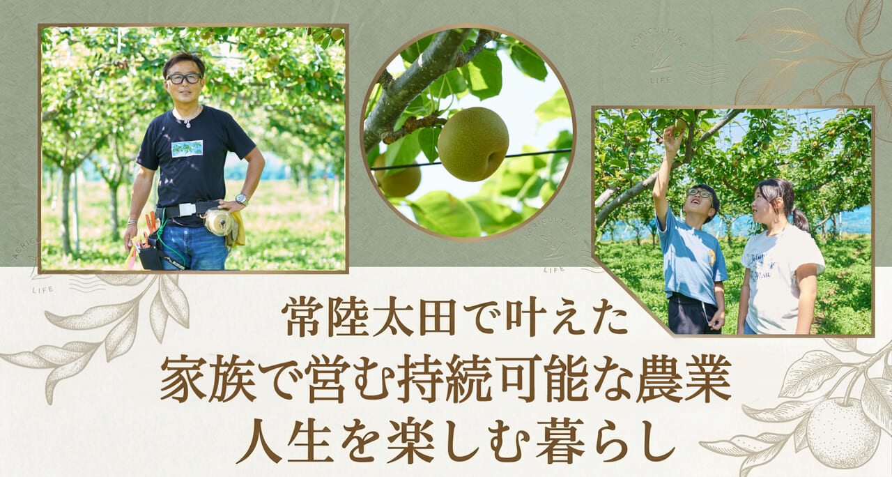 ターンズ堀口さん取材梨