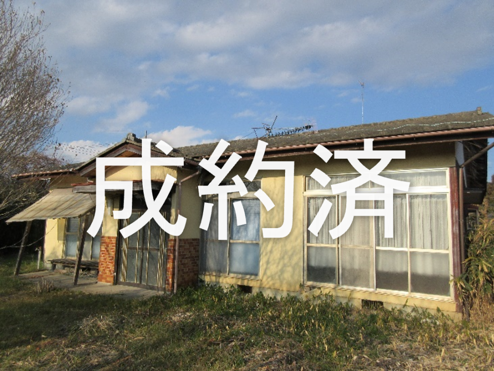 243成約済