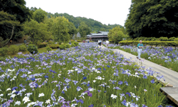 西山の里・桃源