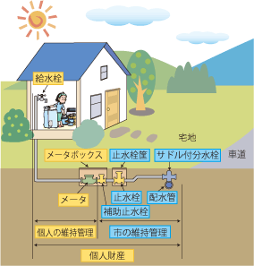 管理区分