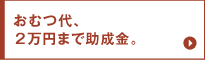 おむつ代、２万円まで助成金。