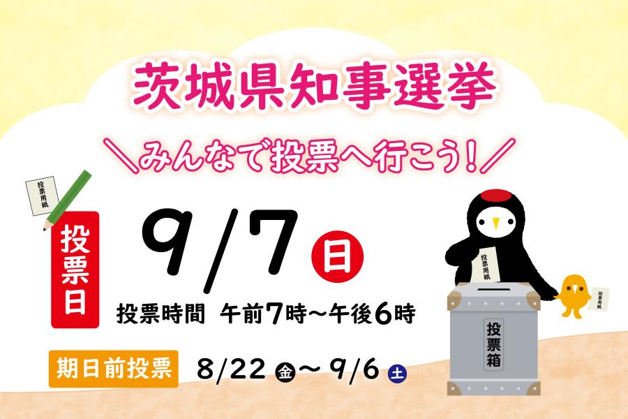 茨城県知事選挙