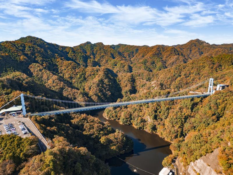 竜神大吊橋　紅葉